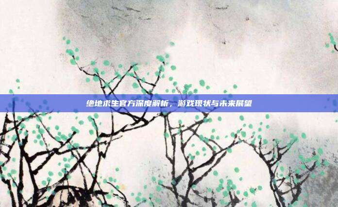 绝地求生官方深度解析,游戏现状与未来展望