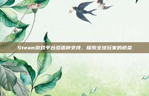 Steam游戏平台多语种支持,探索全球玩家的桥梁
