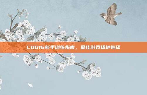 COD16新手训练指南,最佳游戏场地选择