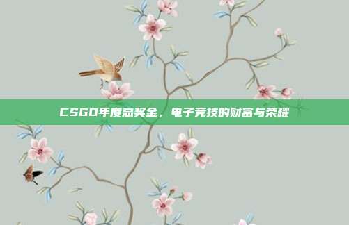CSGO年度总奖金,电子竞技的财富与荣耀