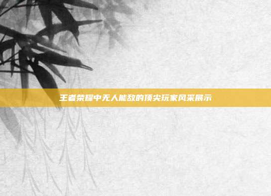 王者荣耀中无人能敌的顶尖玩家风采展示
