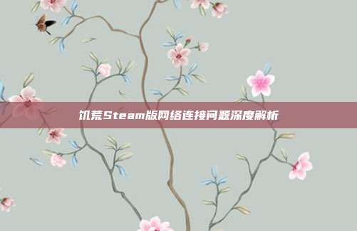 饥荒Steam版网络连接问题深度解析