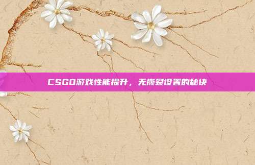 CSGO游戏性能提升,无撕裂设置的秘诀