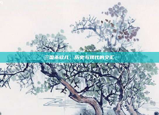 三国杀欣儿,历史与现代的交汇