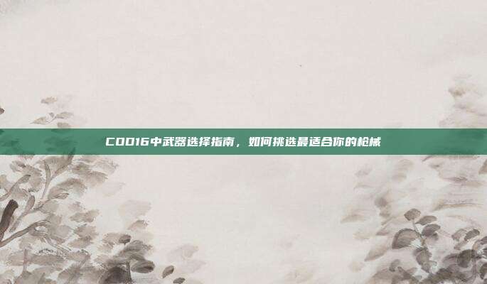 COD16中武器选择指南,如何挑选最适合你的枪械
