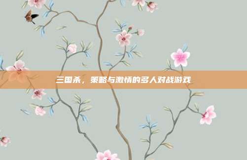 三国杀,策略与激情的多人对战游戏