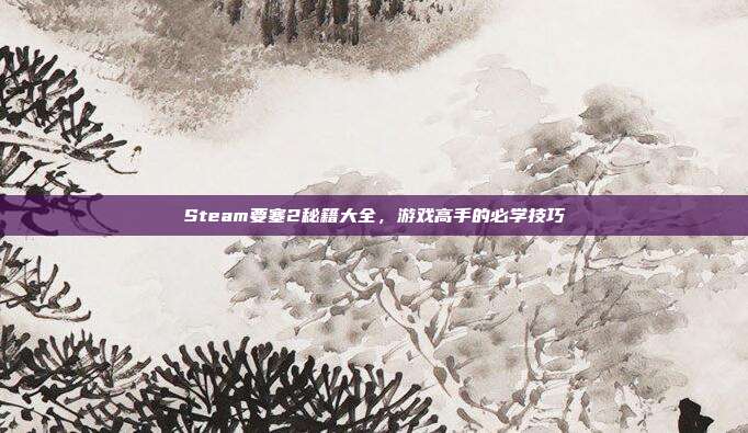 Steam要塞2秘籍大全,游戏高手的必学技巧