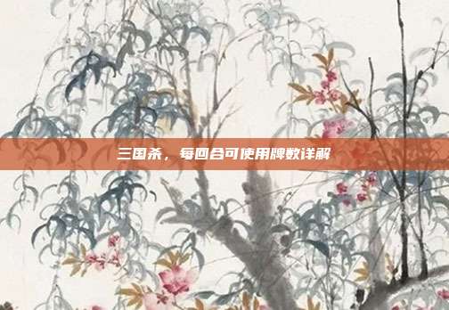 三国杀,每回合可使用牌数详解