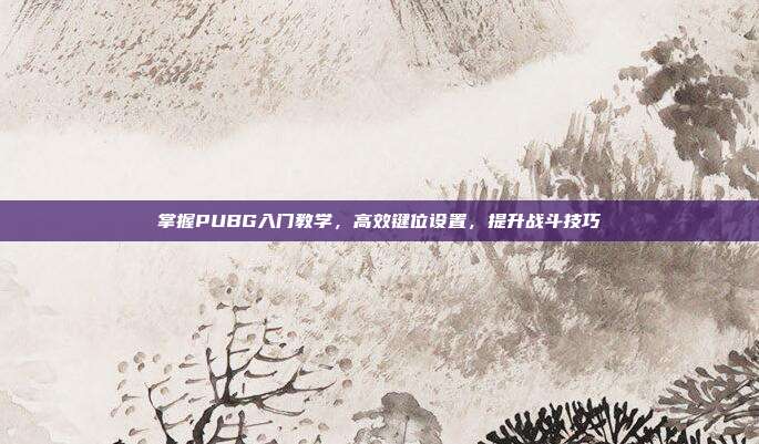掌握PUBG入门教学,高效键位设置,提升战斗技巧