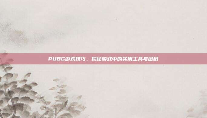 PUBG游戏技巧,揭秘游戏中的实用工具与图纸
