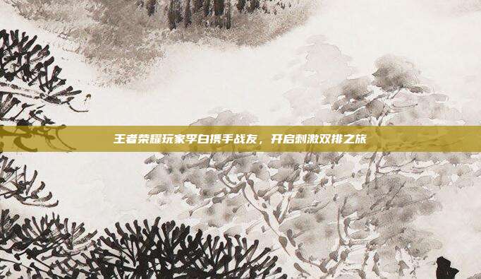 王者荣耀玩家李白携手战友,开启刺激双排之旅