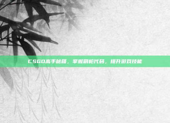 CSGO高手秘籍,掌握刷枪代码,提升游戏技能