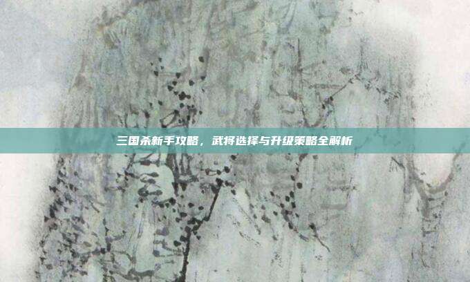 三国杀新手攻略,武将选择与升级策略全解析