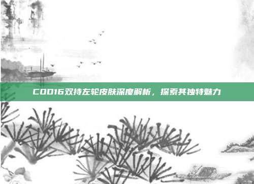 COD16双持左轮皮肤深度解析,探索其独特魅力