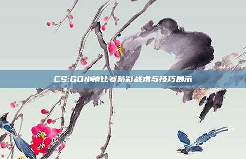 CS:GO小镇比赛精彩战术与技巧展示