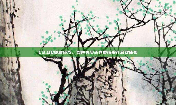 CS:GO隐藏技巧,如何关闭主界面以提升游戏体验