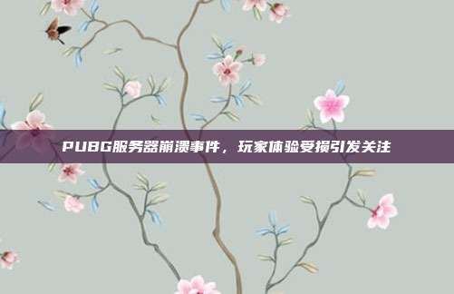 PUBG服务器崩溃事件,玩家体验受损引发关注