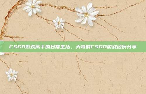 CSGO游戏高手的日常生活,大哥的CSGO游戏经历分享