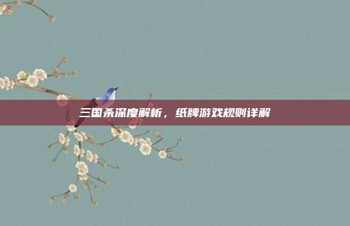 三国杀深度解析,纸牌游戏规则详解