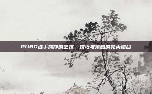 PUBG选手操作的艺术,技巧与策略的完美结合