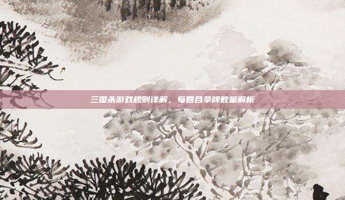 三国杀游戏规则详解,每回合拿牌数量解析