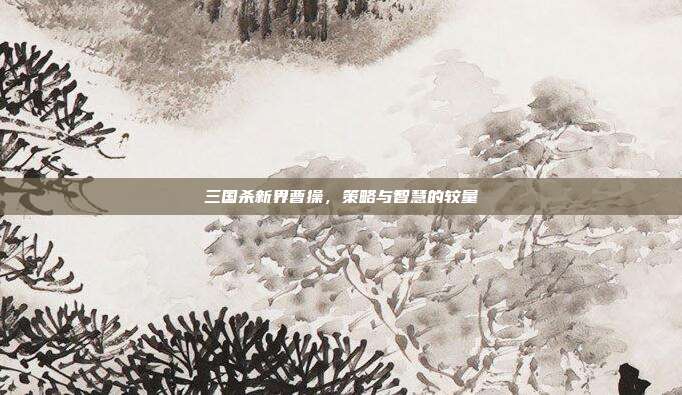 三国杀新界曹操,策略与智慧的较量