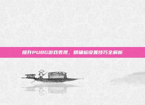 提升PUBG游戏表现,精确标设置技巧全解析