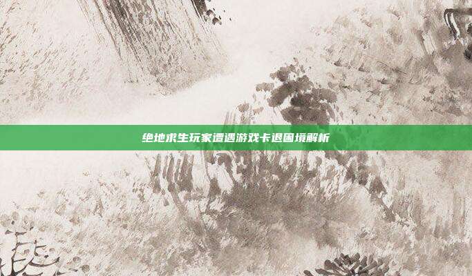 绝地求生玩家遭遇游戏卡退困境解析