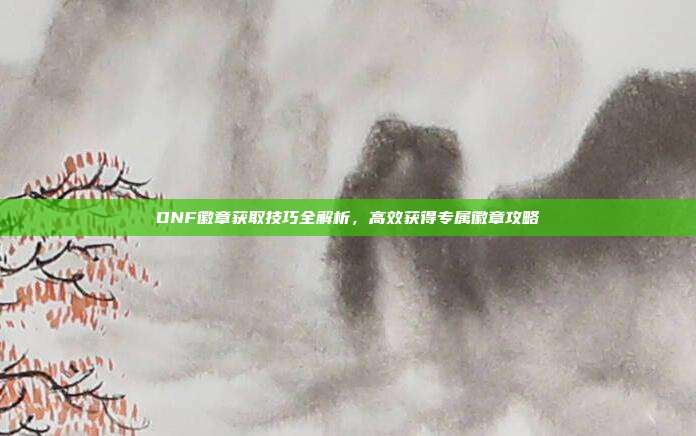 DNF徽章获取技巧全解析,高效获得专属徽章攻略