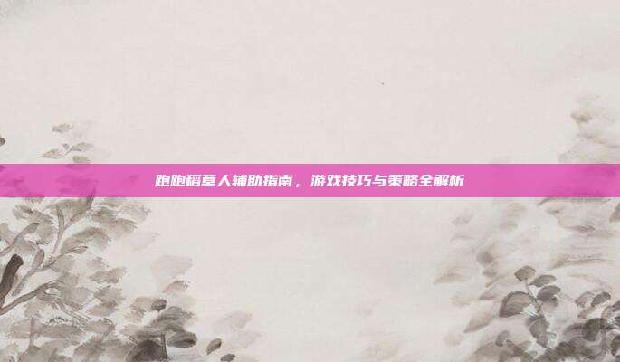 跑跑稻草人辅助指南,游戏技巧与策略全解析