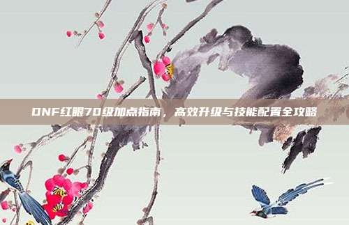 DNF红眼70级加点指南,高效升级与技能配置全攻略