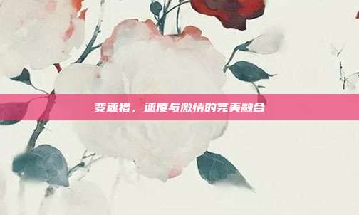 变速猎,速度与激情的完美融合