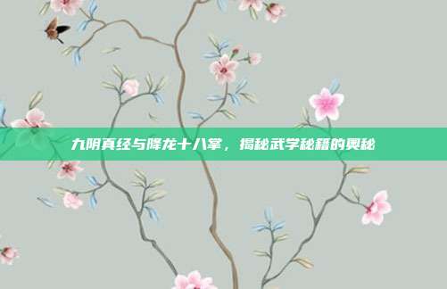九阴真经与降龙十八掌,揭秘武学秘籍的奥秘