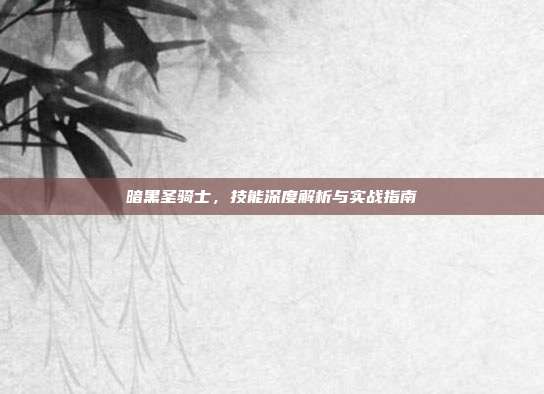 暗黑圣骑士,技能深度解析与实战指南