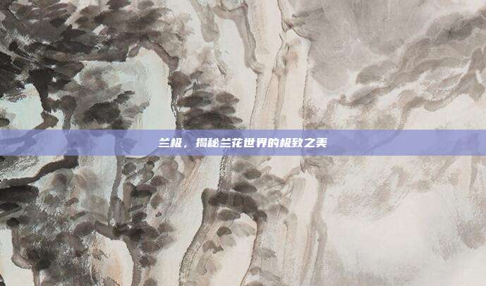兰极,揭秘兰花世界的极致之美