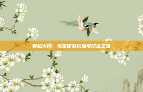 穿越火线,玩家体验反思与改进之路