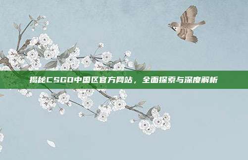 揭秘CSGO中国区官方网站,全面探索与深度解析