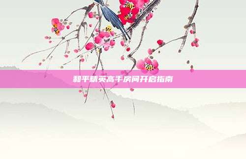 和平精英高手房间开启指南