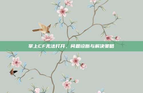掌上CF无法打开,问题诊断与解决策略