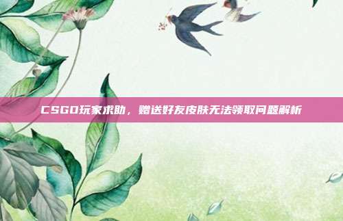 CSGO玩家求助,赠送好友皮肤无法领取问题解析
