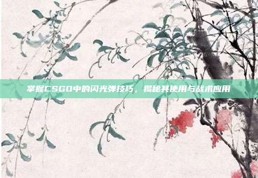 掌握CSGO中的闪光弹技巧,揭秘其使用与战术应用