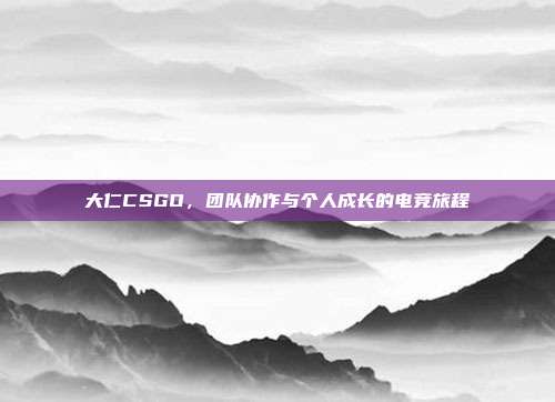 大仁CSGO,团队协作与个人成长的电竞旅程