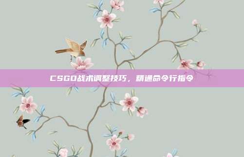 CSGO战术调整技巧,精通命令行指令