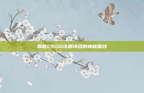 揭秘CSGO注册域名的神秘面纱
