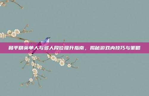 和平精英单人与多人段位提升指南,揭秘游戏内技巧与策略