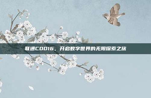 联通COD16,开启数字世界的无限探索之旅