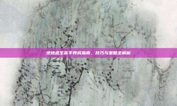 绝地求生高手养成指南,技巧与策略全解析