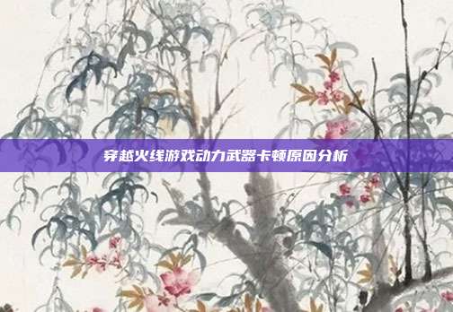 穿越火线游戏动力武器卡顿原因分析