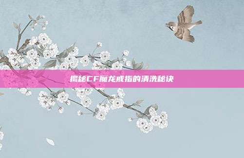 揭秘CF魔龙戒指的清洗秘诀