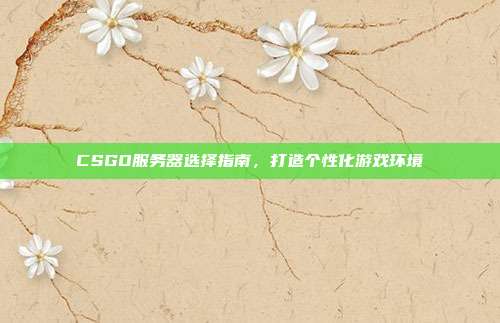 CSGO服务器选择指南,打造个性化游戏环境
